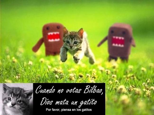 ¡Vota Bilbao! ¡Piensa en los gatitos!