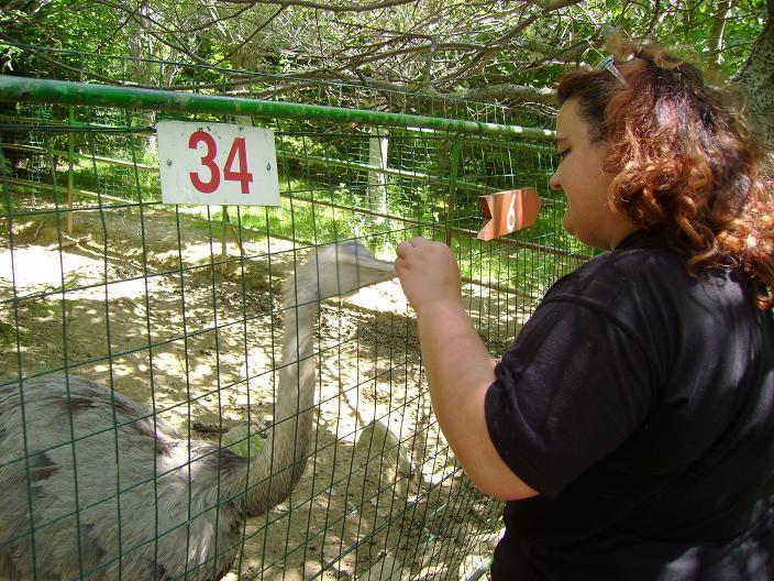 Sonya y el pajarraco