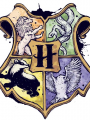 2º Colegio Hogwarts de Magia y Hechicería