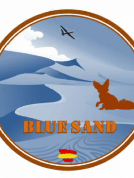 BLUE SAND 2025