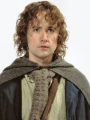 Peregrin Took