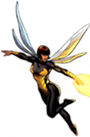 Wasp