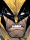 36 Wolverine (PNJ)